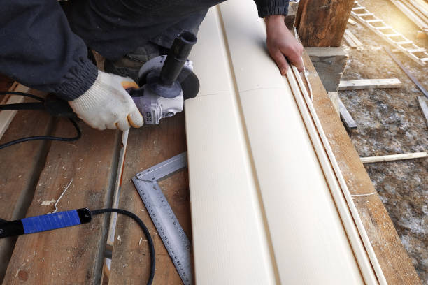 Best Steel Siding Installation  in Crewe, VA